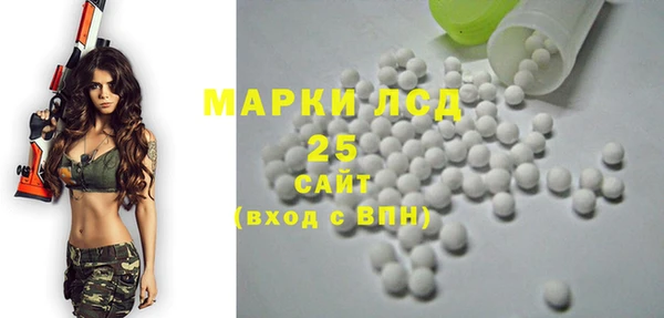 спайс Покачи