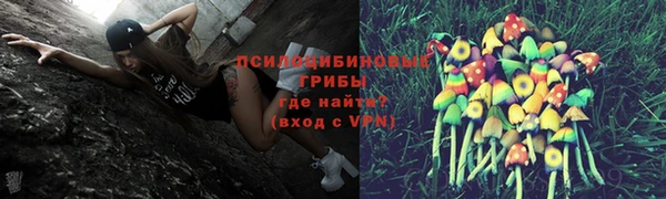 спиды Покров