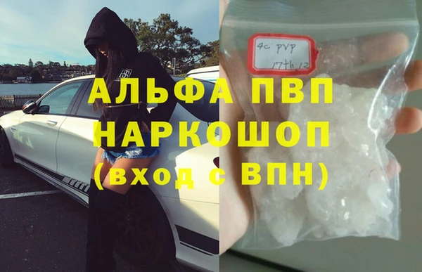 спайс Покачи