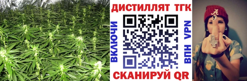 площадка официальный сайт  Кадников  ТГК Wax  дарнет шоп 